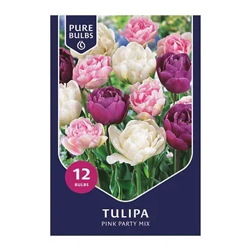 Pure Bulbs Bloembollen Tulp (Tulipa 'Pink Party Mix') 12 stuks