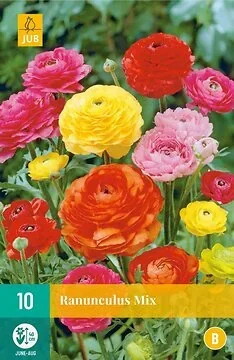 Ranunculus Mix