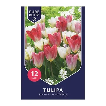 Pure Bulbs Bloembollen Tulp (Tulipa 'Flaming Beauty Mix') 12 stuks