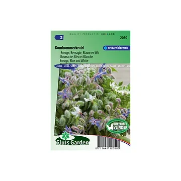 Borage Blauw en wit Borago off.