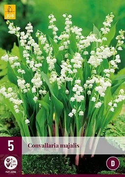 Convallaria Majalis