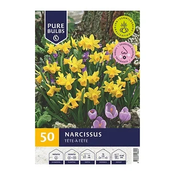 Pure Bulbs Bloembollen Narcis (Narcissus 'Tête-à-Tête') 50 stuks