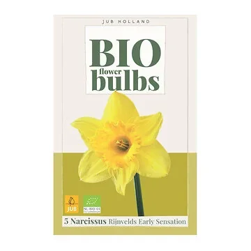 JUB Holland Bloembollen Narcis (Narcissus 'Rijnvelds Early Semsation') Biologisch 5 stuks