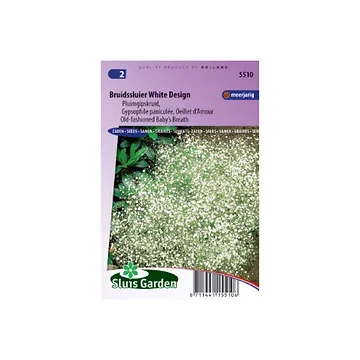 Gypsophila panic. Single White Design