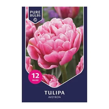 Pure Bulbs Bloembollen Tulp (Tulipa 'Aveyron') 12 stuks