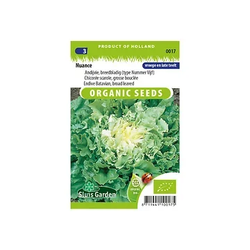 Andijvie br.bladig Nuance BIO