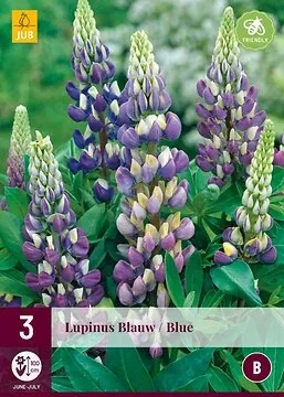 Lupinus Blauw
