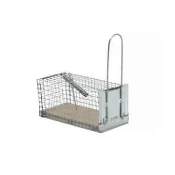 Protect Home ratten Vangkooi Diervriendelijk