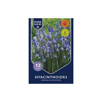Pure Bulbs Hyacinthoides Hispanica Excelsior 12 bollen