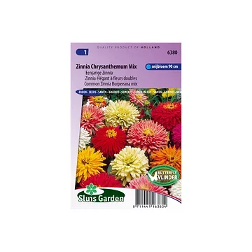 Zinnia elegans Chrysanth.fl. mix