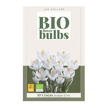 JUB Holland Bloembollen Krokus (Crocus 'Jeanne dÁrc') Biologisch 10 stuks