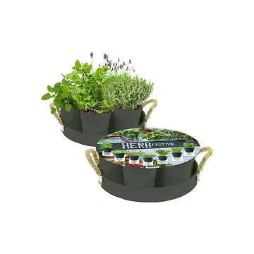Herb Festival 7 potjes kruiden Antraciet