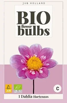 Bio Dahlia Hartenaas