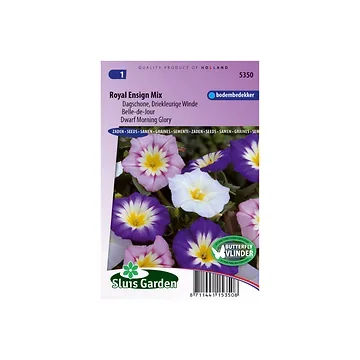 Convolvulus tricolor Choice Mixed