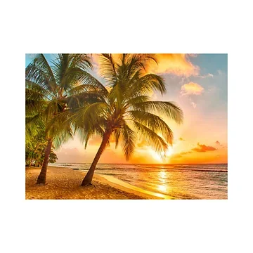 Tuinposter XL Strand Ondergaande Zon 163 x 117 cm