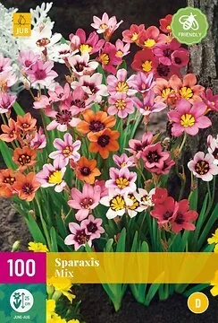Sparaxis Mix