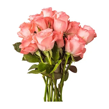 Rozen (Rosa) 10 stelen per bos 40 cm