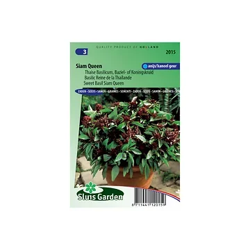 Thaise Basilicum Siam Queen Ocimum Bas.