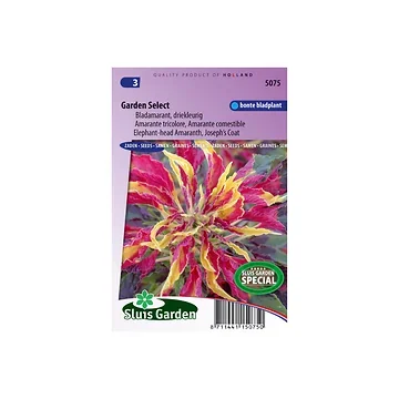 Amaranthus tricolor Garden Select