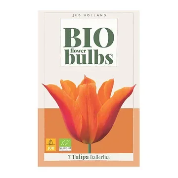 JUB Holland Bloembollen Tulp (Tulipa 'Ballerina') Biologisch 7 stuks