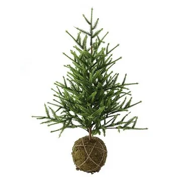 Evergreen mini kerstboom moskluit groen 72 cm