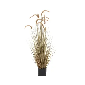 Pluimgras met pluim 120 cm naturel