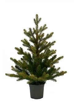 Evergreen tafel kunstkerstboom Emerald angel pine 60 cm