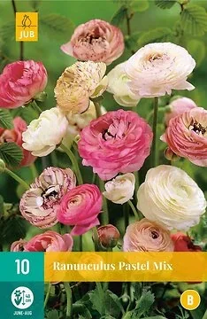 Ranunculus Pastel Mix