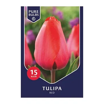 Pure Bulbs Bloembollen Tulp (Tulipa 'Red') 15 stuks