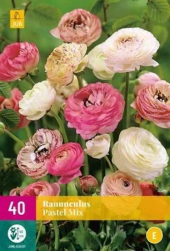 Ranunculus Pastel Mix