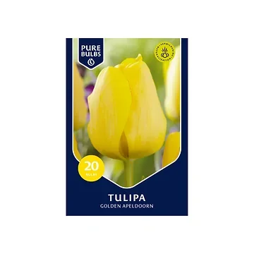 Pure Bulbs Tulipa Golden Apeldoorn 15 bollen