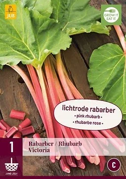 Rheum/Rabarber Victoria
