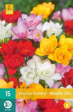 Freesia Dubbel Mix