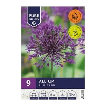 Pure Bulbs Bloembollen Sierui (Allium 'Purple Rain') 9 stuks