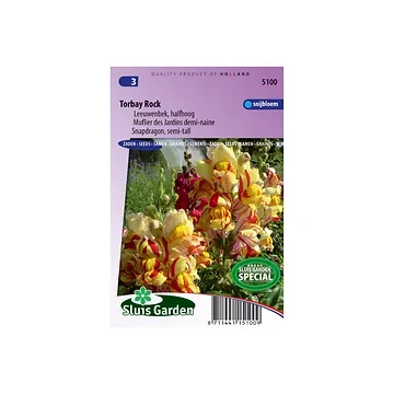 Antirrhinum m.nanum Torbay Rock
