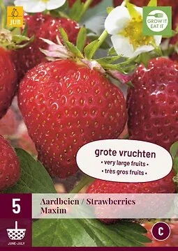 Fragaria Maxim