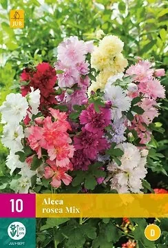 Alcea Rosea Mix