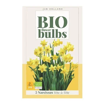 JUB Holland Bloembollen Narcis (Narcissus 'Tête-à-Tête') Biologisch 5 stuks