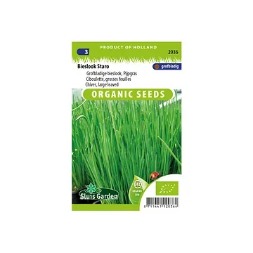 Bieslook grove Staro BIO