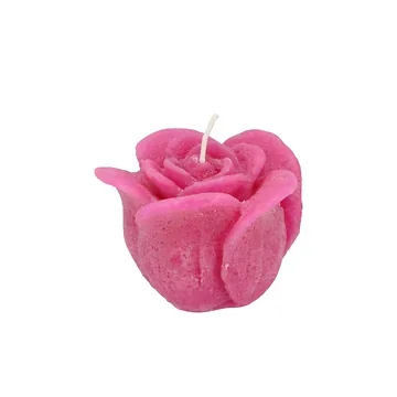 Rooskaars Fuchsia 8 x 7 cm
