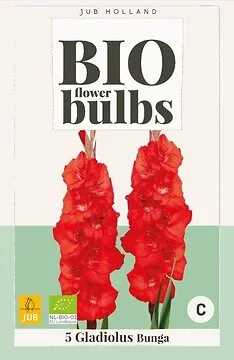 Bio Gladiolus Bunga