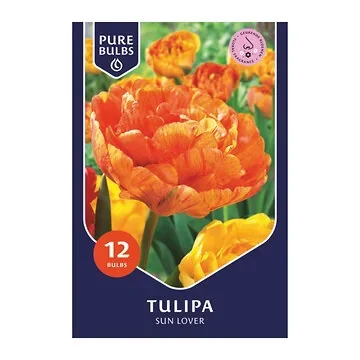Pure Bulbs Bloembollen Tulp (Tulipa 'Sun Lover') 12 stuks