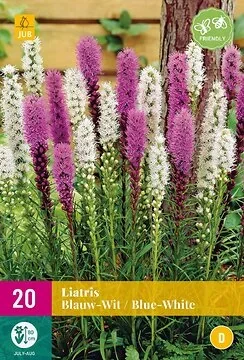 Liatris Blauw-Wit