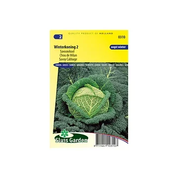Savooiekool Winterkoning 2