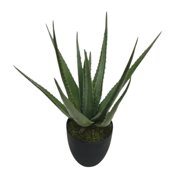 Kunstplant Aloe Vera in pot 70 cm