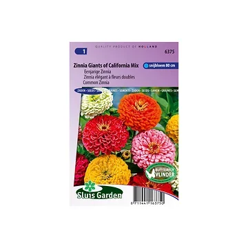 Zinnia elegans Giant of California Mix