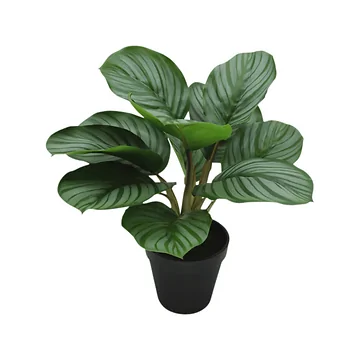 De Bosrand Kunstplant Pijlwortel 34 cm