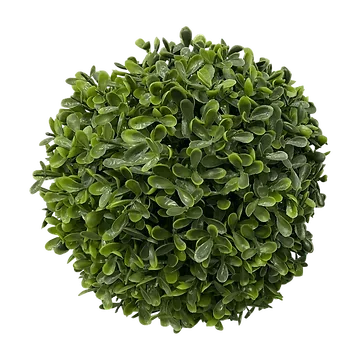 De Bosrand Buxusbol Groen 18 cm