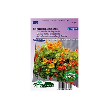 Tropaeolum minus Nova Zembla