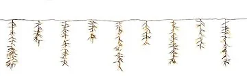 IJspegelverlichting cluster 1032 lampjes 29 pegels 7 m luxury color